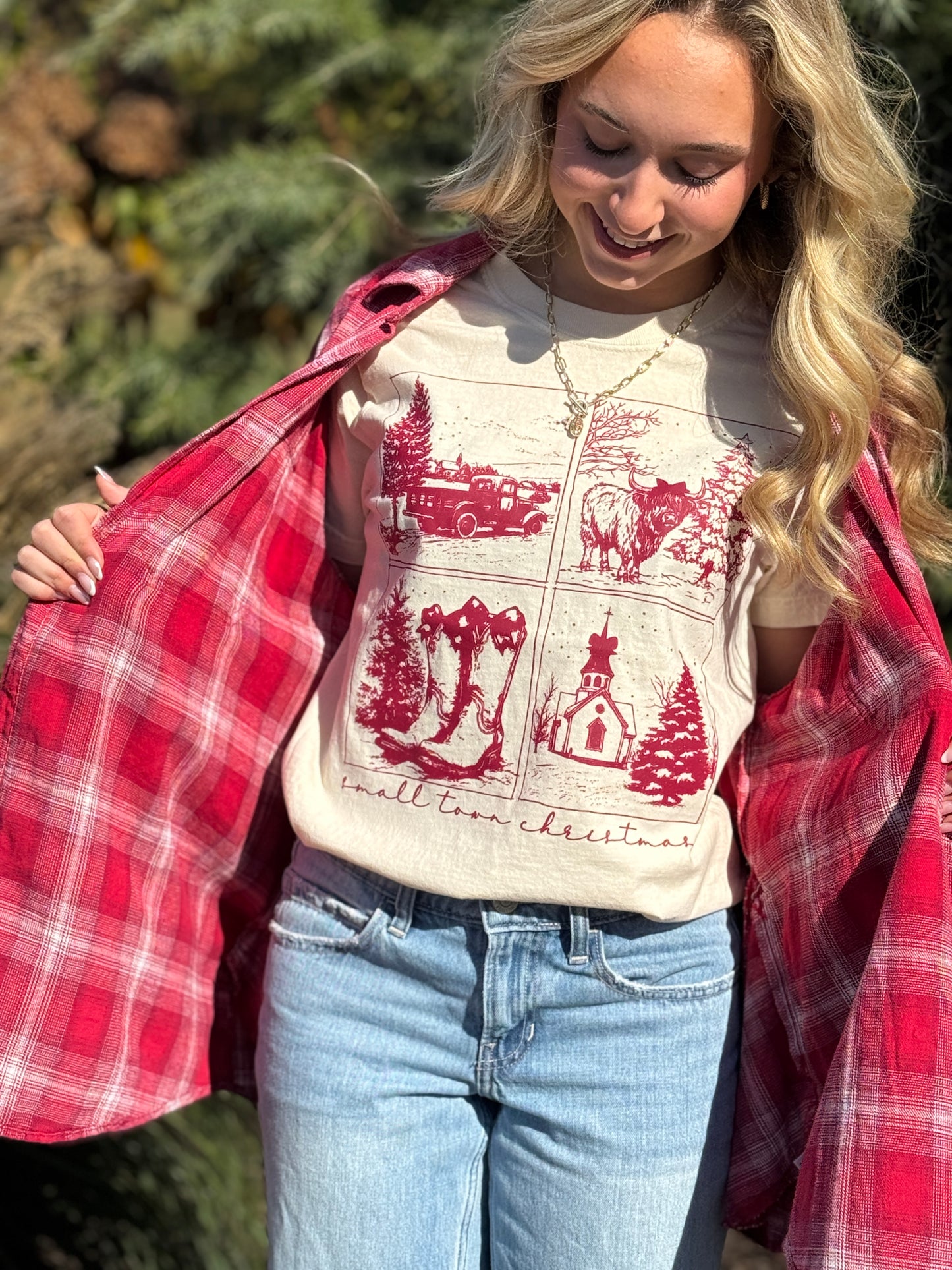 Small Town Christmas