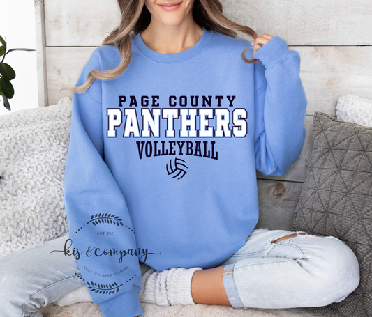 Page Co Panthers Volleyball